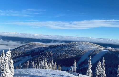 Sandpoint Wohnung | Charming studio, close to Schweitzer, lake Ponderay and Sandpoint.