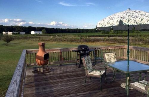 Berlin Center Haus | Charming Weekend Getaway Located on a Vineyard near Cleveland, Ohio