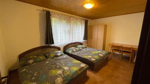 Cerveny Kostelec Skihütte | Chata Brodský E1062
