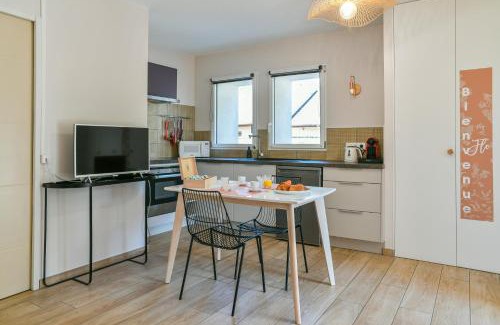 Saint-Pierre-d'Albigny Wohnung | Chez Flo - clim parking - clg