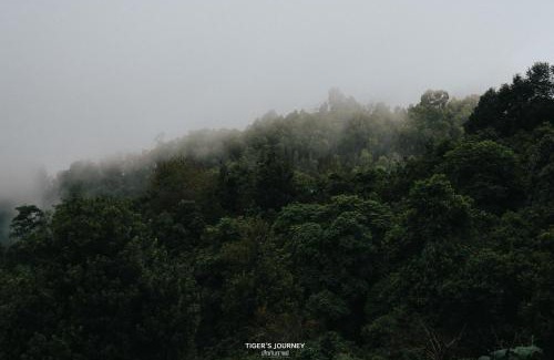 Chiang Rai Province Haus | Chi Bo ดอยช้าง