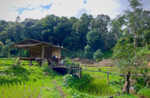 Samoeng Haus | Chibacall ชิบะคอล, Karen Mountain Hideaway Homestay