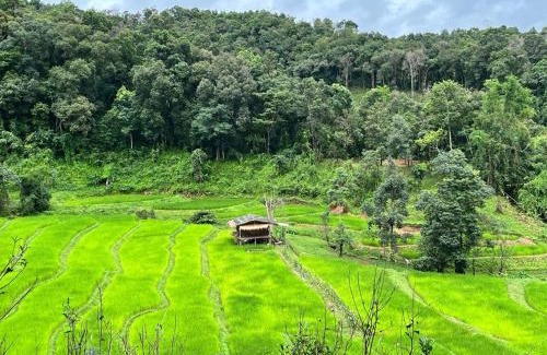 Samoeng Haus | Chibacall ชิบะคอล, Karen Mountain Hideaway Homestay