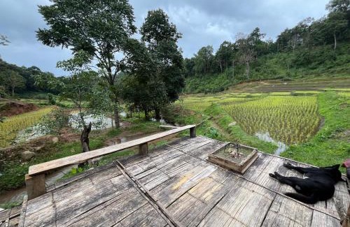 Samoeng Haus | Chibacall ชิบะคอล Karen Mountains Hideaway Homestay