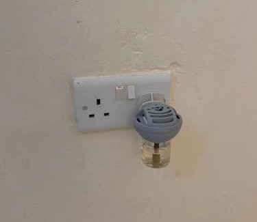 Kakamega Wohnung | Chic and stylish 1bedroom in Kk