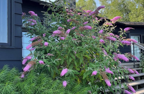 Northport Hütte | Klassisches, schickes Blockhaus mit Flair, modernisiert und modern ausgestattet.