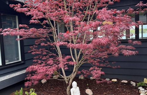 Northport Hütte | Klassisches, schickes Blockhaus mit Flair, modernisiert und modern ausgestattet.