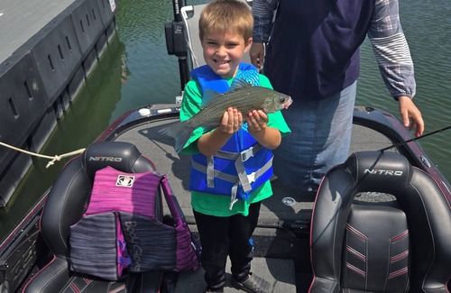 Cookson Kabine | Chicken Creek Cabin, 1 mile from Chicken Creek Boat Ramp.