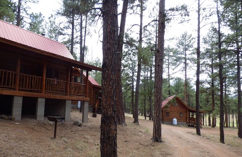 Alpine Kabine | Circle Pine Ranch- "The Real Log Cabin Experience"