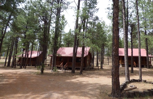 Alpine Kabine | Circle Pine Ranch-"The Real Log Cabin Experience"