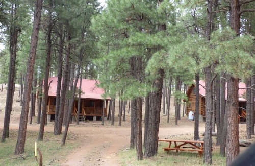 Alpine Kabine | Circle Pine Ranch-"The Real Log Cabin Experience"