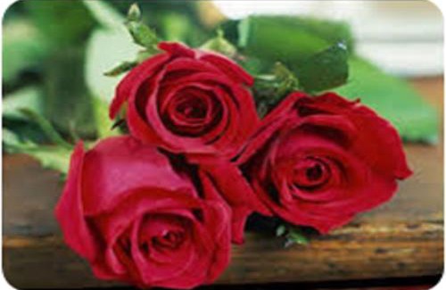 Itaim Bibi Hotel | Clarion Faria Lima