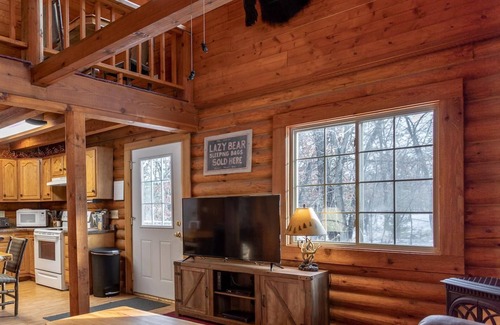 Lyndon Station Haus | *** Ruhige Lazy Bear Lodge | Ihr eigenes Blockhaus im Wald | 10 Minuten von Dells entfernt *