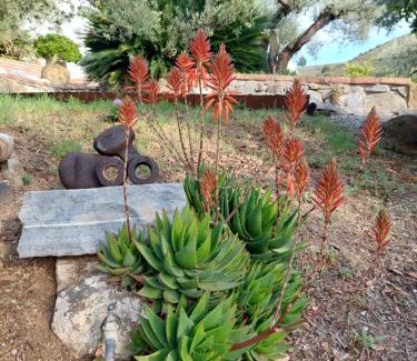 Torrox Villa | Colores en el Viento