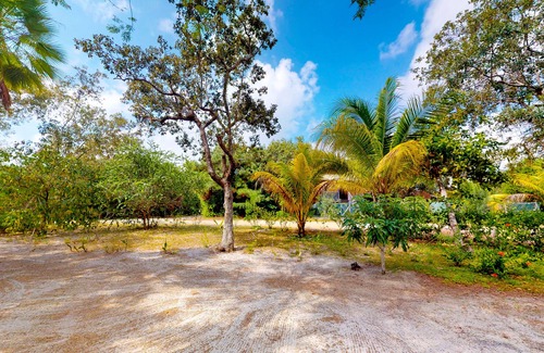 Placencia Kabine | Gemütliche Cabana mit Klimaanlage und Hängematte, ideal für Paare, nur wenige Schritte vom Strand entfernt!
