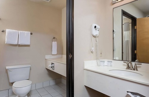 Newport Hotel | Come Create Memories w/ Fun-filled Adventures at this Paradise! Pets Allowed!