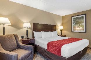 Lansing Hotel | Comfort Inn Lansing West