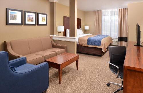 Mandan Hotel | Comfort Inn & Suites Mandan - Bismarck