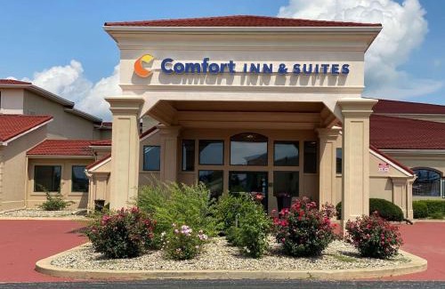 Morton Hotel | Comfort Inn & Suites Morton - Peoria