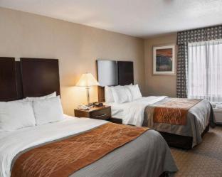 Muncie Hotel | Comfort Inn & Suites Muncie Near University