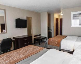 Muncie Hotel | Comfort Inn & Suites Muncie Near University