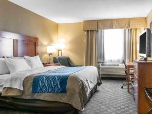 Napoleon Hotel | Comfort Inn & Suites Napoleon