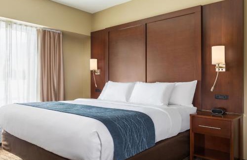 Lincoln Hotel | Comfort Inn & Suites near Route 66