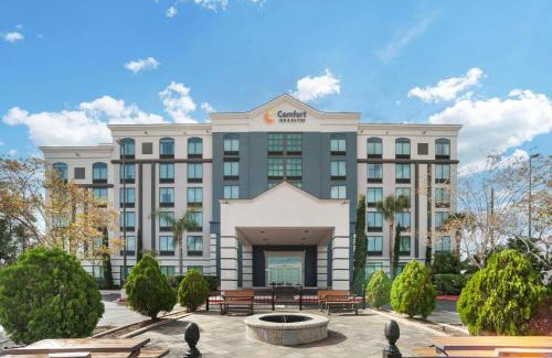 Kenner - Louis Armstrong International Airport Hotel | Comfort Inn & Suites New Orleans Airport North