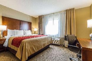 Rocklin Hotel | Comfort Inn & Suites Rocklin - Roseville