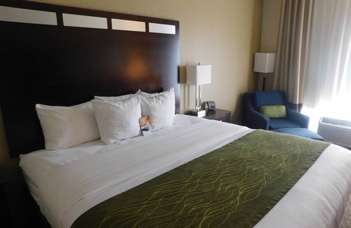 Barton Hotel | Comfort Inn