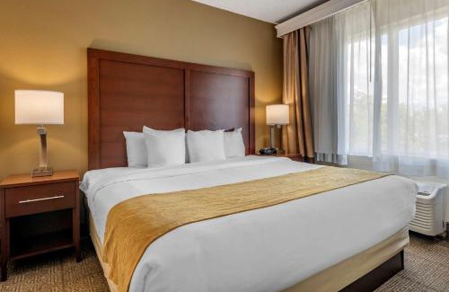Tamarac Hotel | Comfort Suites Sawgrass