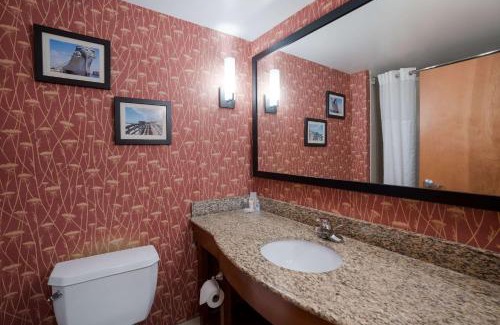 Norfolk - Virginia Beach Hotel | Comfort Suites Suffolk - Chesapeake