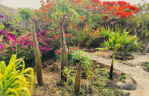 San Juanico Haus | Komfortables Haus in der Innenstadt von San Juaníco aka Scorpion Bay