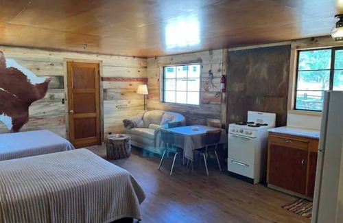Alpine Kabine | Comfy Cozy Cabin in the tall pines of Alpine AZ #1