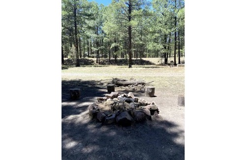 Alpine Kabine | Comfy Cozy Cabin in the tall pines of Alpine AZ #1