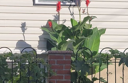 Queens Wohnung | Comfy Studio Apt in Queens NYC