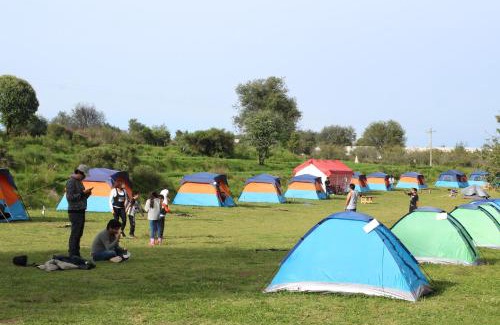 Nanacamilpa Sonstige | COMPLEJO DE HOSPEDAJE EN BOSQUE ECO REINO AVENTURA