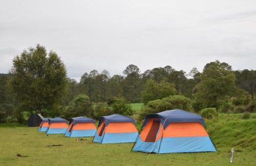 Nanacamilpa Sonstige | COMPLEJO DE HOSPEDAJE EN BOSQUE ECO REINO AVENTURA
