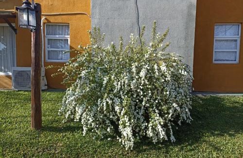 Colon Wohnung | Complejo Lapachos De Colon