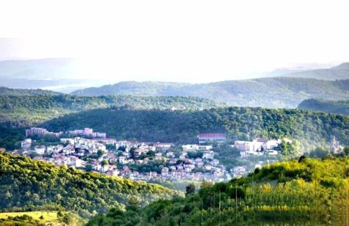Arbanasi Haus | Complex ARBANASHKI STYLE-Panoramic View with Summer and Winter terrace, Children's Area and PLAYING SALA