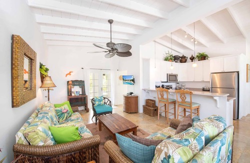 Old Man Bay Haus | Conched Out: Island Chic Bungalow mit üppiger tropischer Landschaft, Pool & Hinterhof Schnorcheln