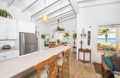 Old Man Bay Haus | Conched Out: Island Chic Bungalow mit üppiger tropischer Landschaft, Pool & Hinterhof Schnorcheln
