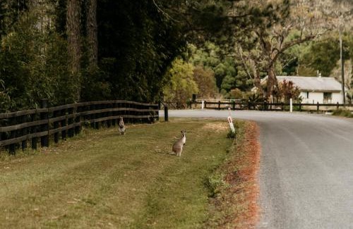 Nimbin Wohnung | Contained in Nimbin Accommodation