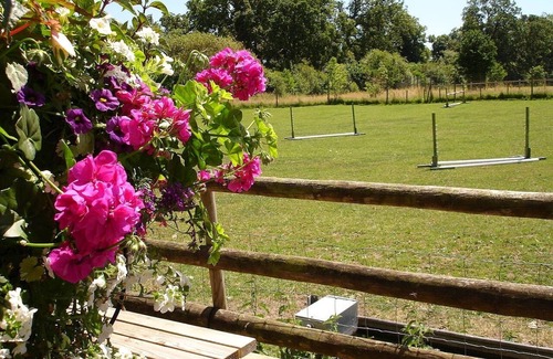 New Forest District Hütte | Einzigartige Selbstversorger-Molkereiumstellung auf einer neuen Waldfarm