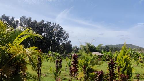 Kushalnagar Haus | Coorg chandanavana