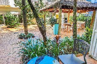 Cairns Central Business District Hotel | Coral Tree Inn