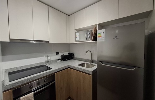Concepcion Wohnung | 📍Corazón de Concepción | Modern Ground Floor Apartment