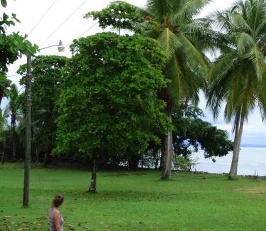 Puerto Jimenez Kabine | Corcovado Beach Lodge