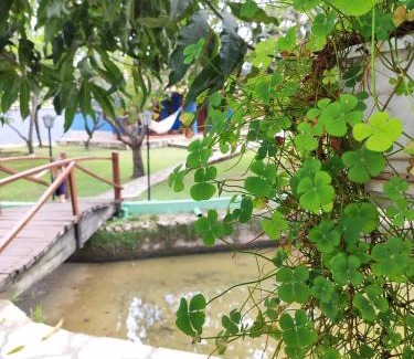 Davidopolis Skihütte | Cores do Cerrado - chalés e suítes