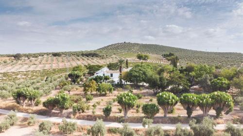 Cabra Haus | Cortijo Don Simón